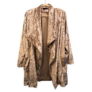 Amaryllis Champagne Velvet Blazer Jacket XL